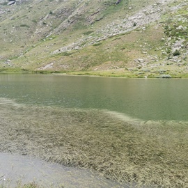 17.7.2022 Tredici Laghi: Il lago dell'Uomo, dove si è svolta la celebrazione